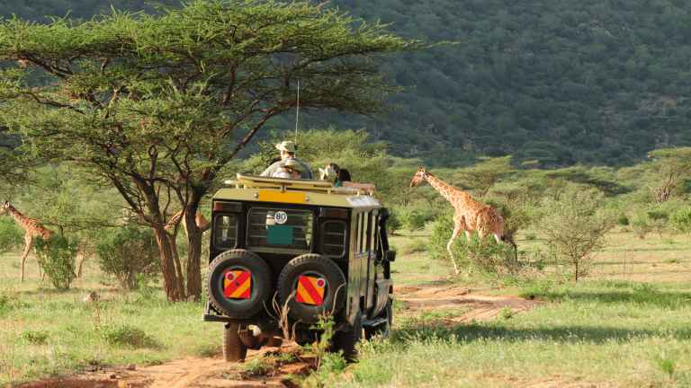 visit Kenya, Nairobi National Park, Fort Jesus