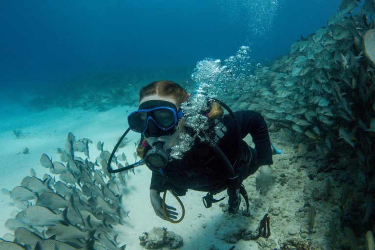 diver swimming among a school of fish in the caribbean sea