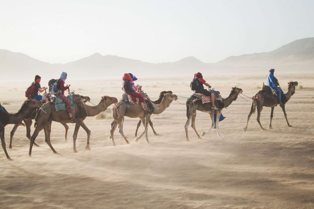 How To Plan A Customised Trip To Morocco 5 Vaida Tamosauskaite Ojofv8Dzd W Unsplash 1 Scaled 1