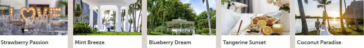 Example Barcelo Wedding Packages