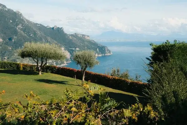 A serene coastal landscape featuring two olive trees on a lush green lawn. A hedge overlooks a deep blue sea framed by distant, rugged mountains.