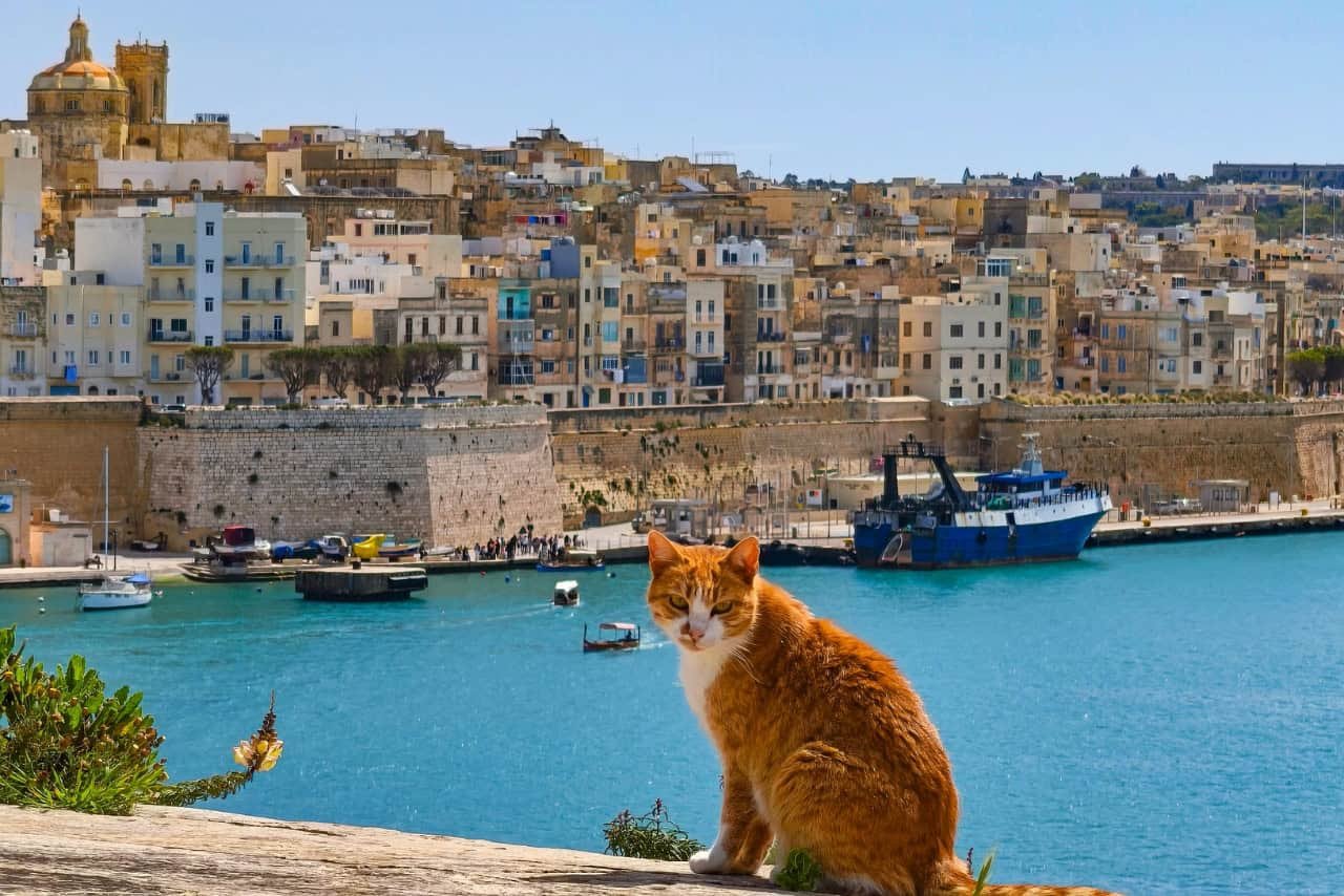 Mediterranean cruise with a three-year-old